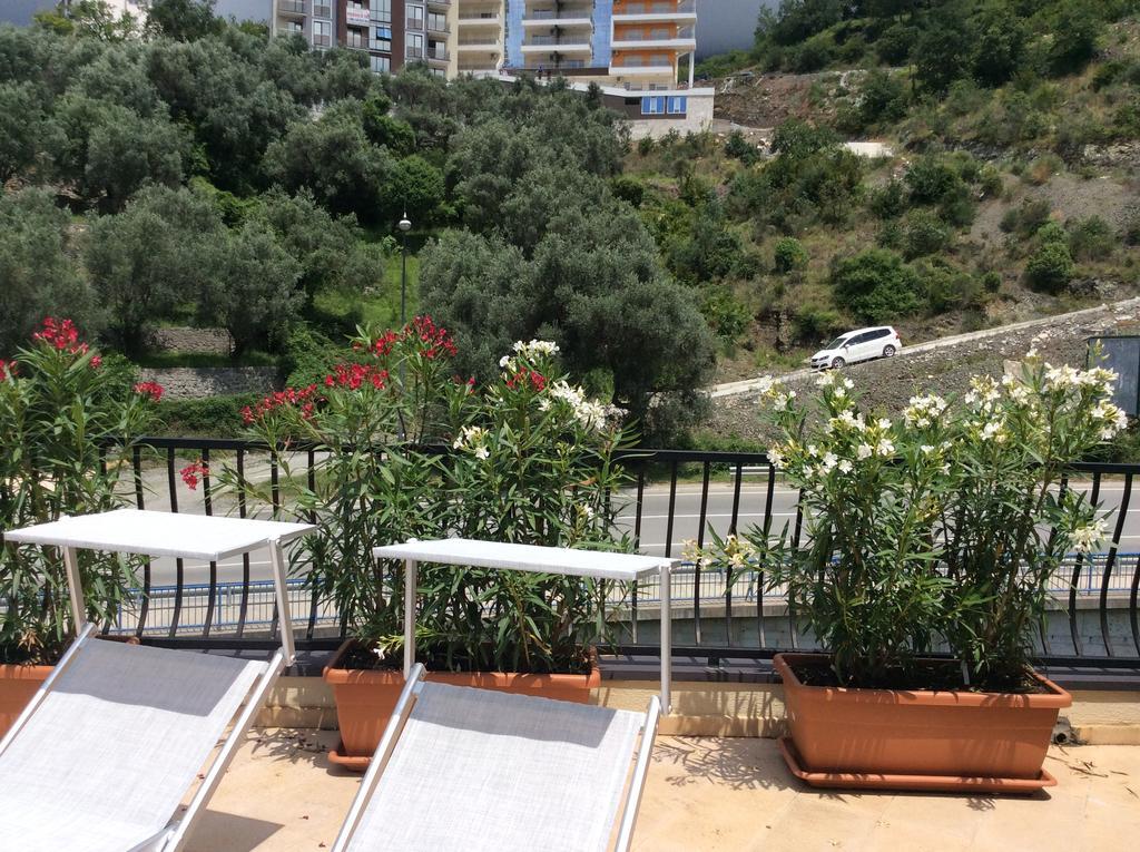 Olive Terrace 3 Budva