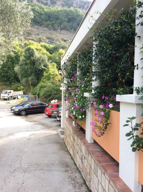 Olive Terrace 3 Budva