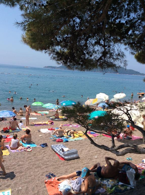 Olive Terrace 3 * Budva